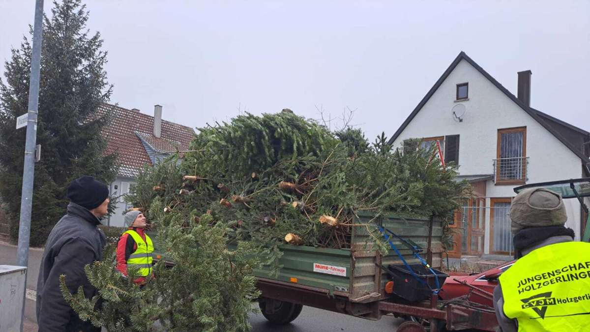 CVJM sammelt Christbäume in Holzgerlingen: 10 000 Euro für Hilfstransporter in die Ukraine