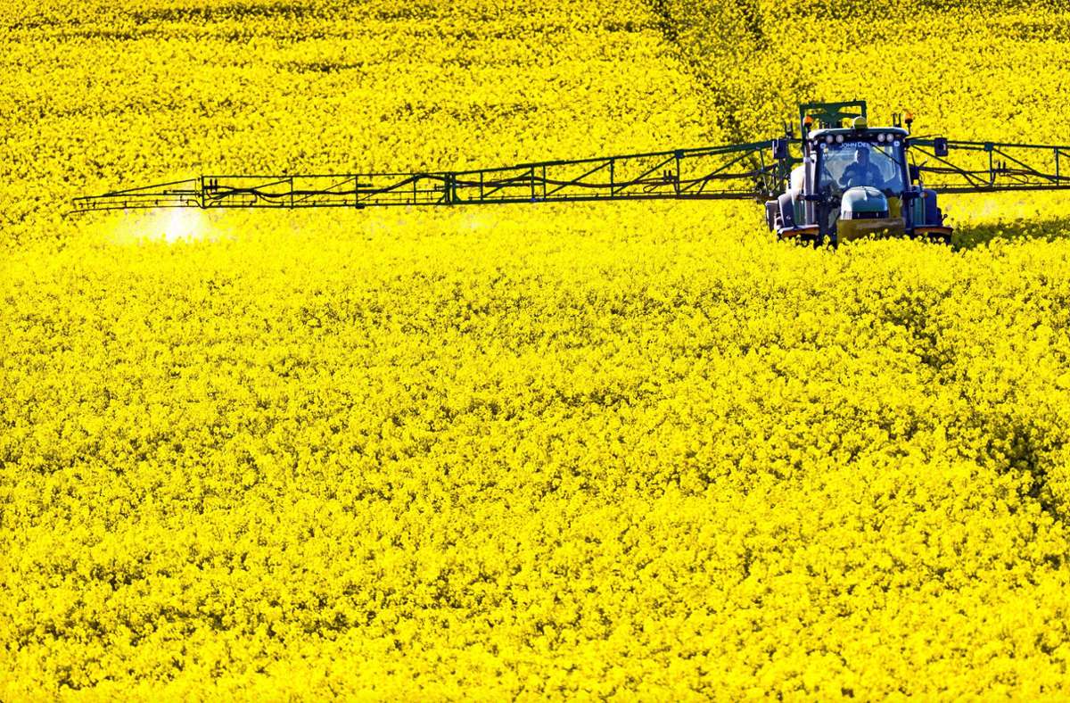 Ein Landwirt versprüht Pflanzenschutzmittel auf einem Rapsfeld – der BUND fordert unter anderem eine starke Verringerung der Pestizide. Foto: imago images/Jens Koehler