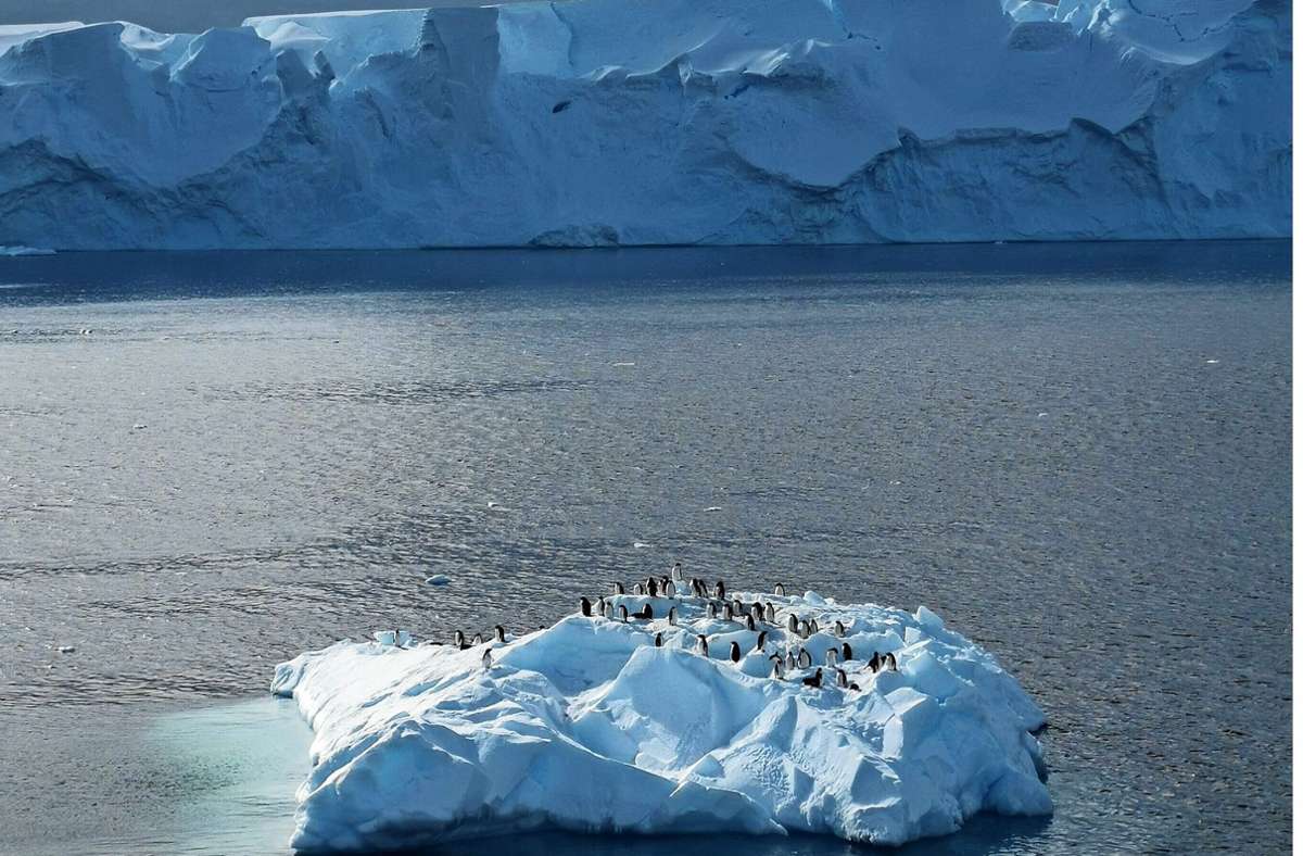 Klimawandel in der Antarktis: Wenn die Gletscher kippen