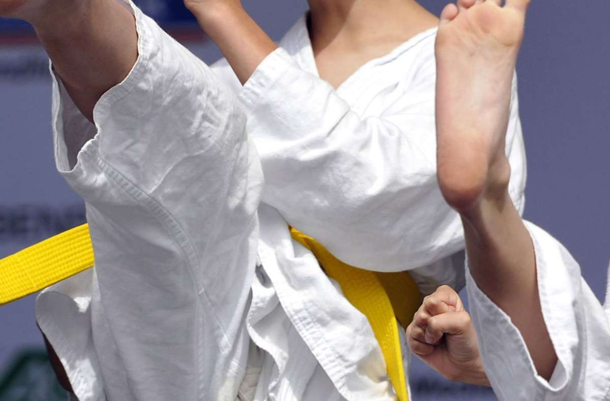 Karate: Neuer Anfängerkurs beim Dojo Jiriki Gäufelden ab Freitag