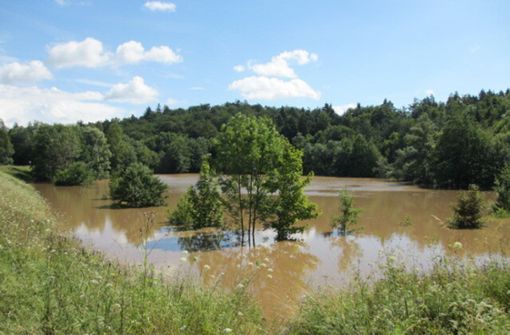Das Rückhaltebecken Diebskarrenbach bei Sindelfingen nach einem Hochwasser 2013. Foto: Archiv