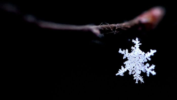 Die Wunderwelt  der  Schneeflocken und Eiskristalle
