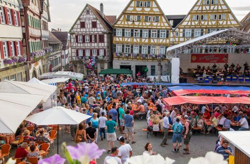 Das Herrenberger Stadtfest lockt regelmäßig tausende Menschen in die Altstadt. Foto: Käthe Rueß