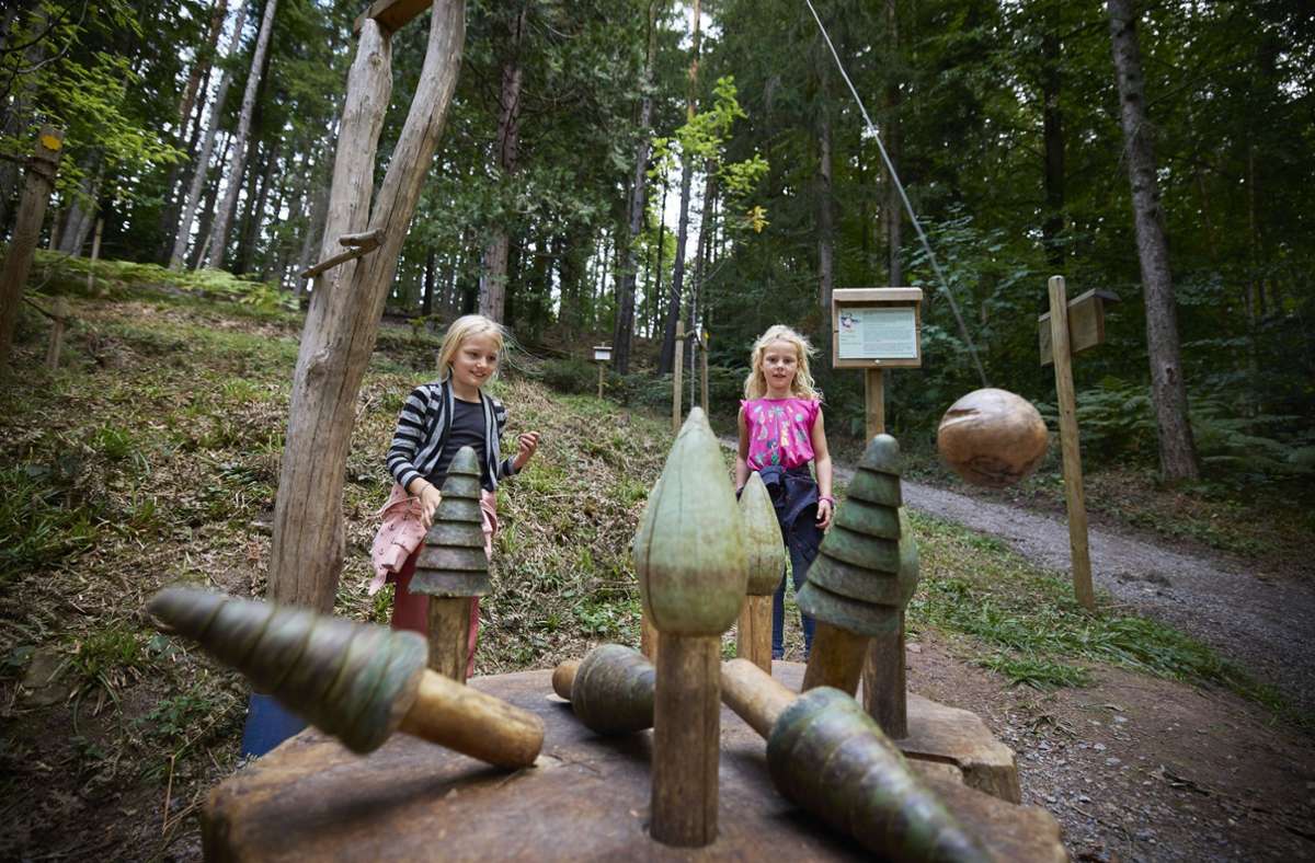 Arboretum in Sulzbach an der Murr: Wissenswertes aus der Welt der Bäume