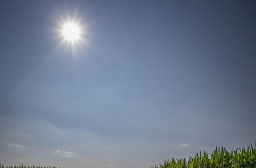 Hitzetage von weit über 30 Grad – Wetterlagen, an die sich auch die Bewohner des Landkreises Böblingen im Sommer künftig gewöhnen müssen. Foto: Eibner / Jürgen Biniasch
