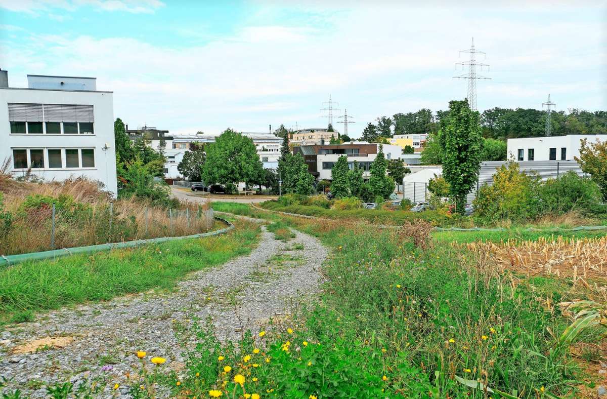 Stadtentwicklung in Ditzingen: Heimerdingen macht sich schick für Hightech-Industrie