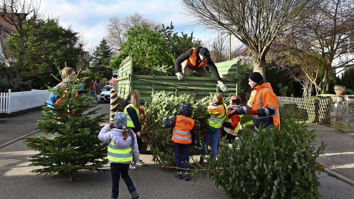 Panne im Kreis Ludwigsburg: Müllabfuhr sammelt versehentlich Christbäume ein
