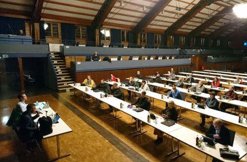 Der Herrenberger Gemeinderat tagt in der Stadthalle. Foto: Archiv/Rueß