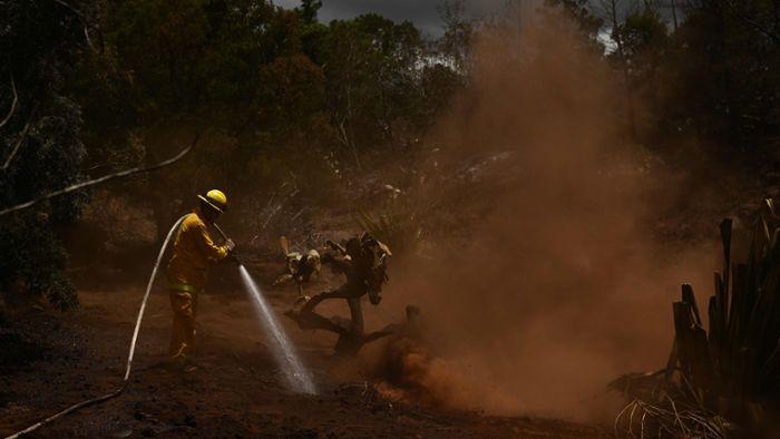 96 Tote – Kritik an Behörden nach verheerenden Bränden auf Maui