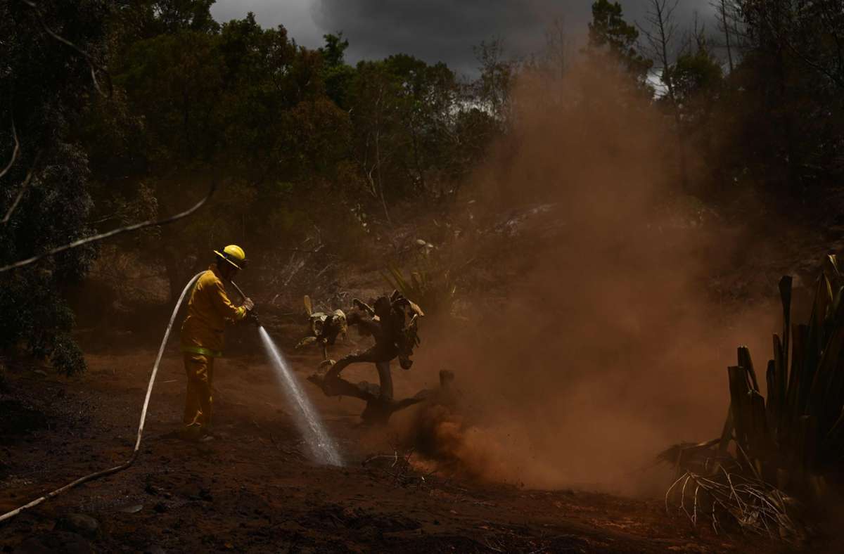 Keine Warnsirenen, herabfallende Kabel: 96 Tote – Kritik an Behörden nach verheerenden Bränden auf Maui