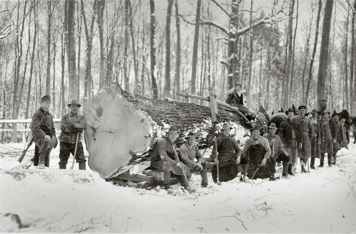 1937: Waldenbucher Holzfällarbeiten im Winter.