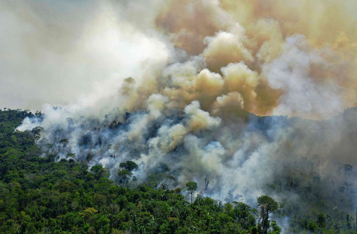 Auch das ein bekannter Anblick: Ein großes Feuer wütet im Amazonas Regenwald südlich von Novo Progresso in Brasilien.