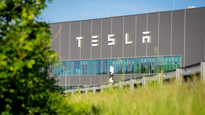 Umwelt: Naturschutzbund prüft Klage gegen Plan zur Tesla-Erweiterung