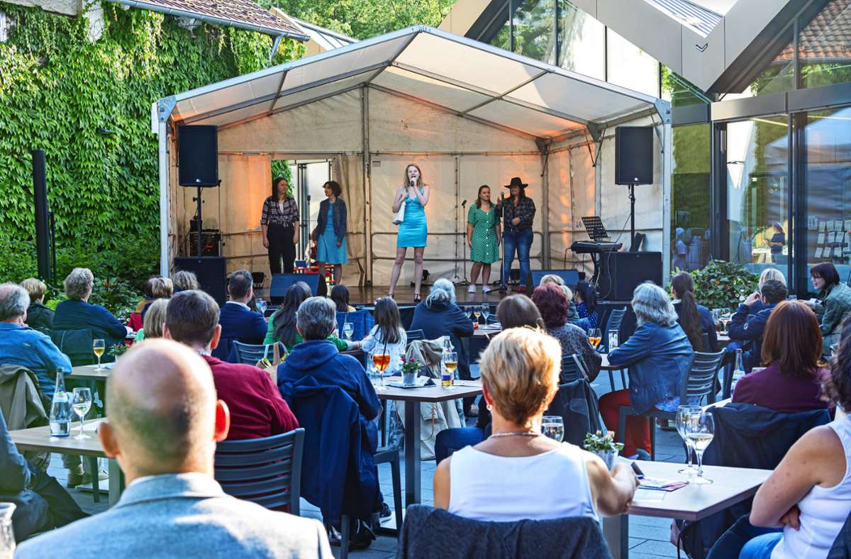Open-Air in Leinfelden-Echterdingen: Worauf sich Kulturbegeisterte freuen können