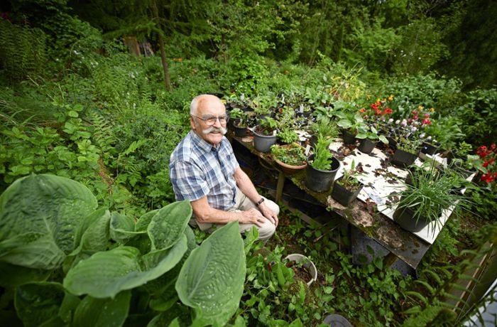 Kleine Paradiese im Rems-Murr-Kreis: 90-Jähriger werkelt in  Gartenoase in Kernen