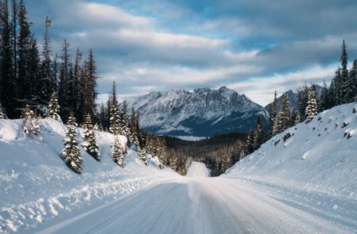 Der Jasper Nationalpark ist der größte Nationalpark in den kanadischen Rocky Mountains. Foto: /Anna-Sophie Kächele