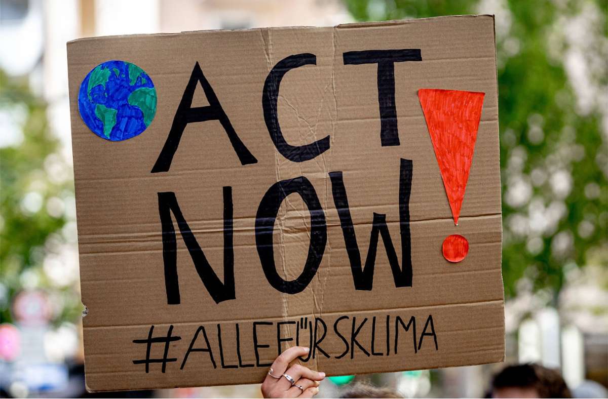 Klimaklagen in Deutschland: „Nicht jeder kann den Staat verklagen“