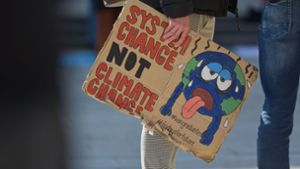 Aktivisten  senden 101 Klima-Fragen an die FDP