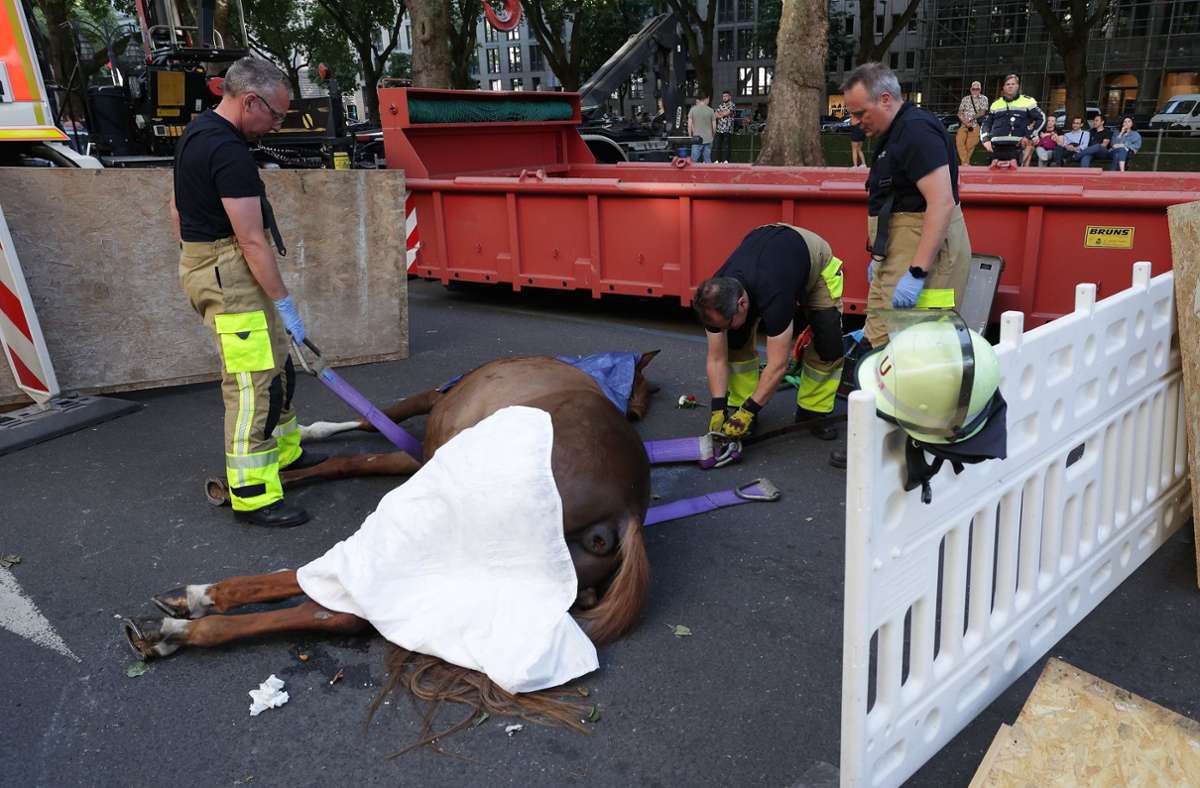 Düsseldorf: Pferd bricht zusammen und stirbt bei Schützenfest-Umzug