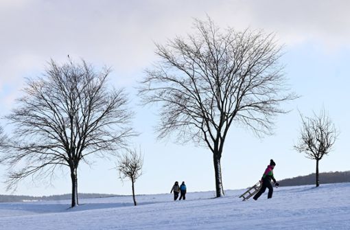 Der Schneefall ist wohl nur von kurzer Dauer (Symbolbild). Foto: dpa/Uwe Zucchi