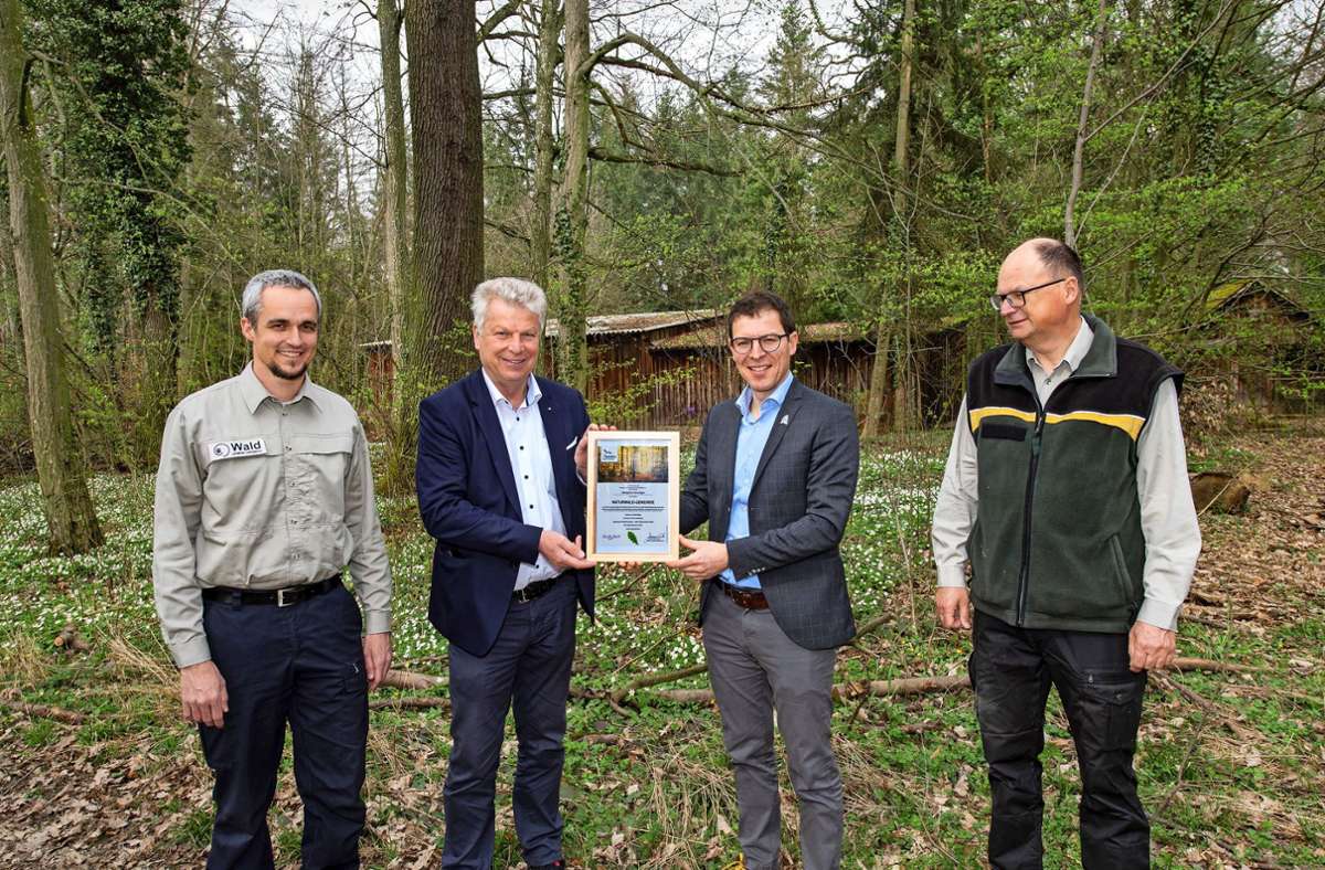 Naturschutz in Bietigheim-Bissingen: Wild und schön: Auszeichnung für Wald