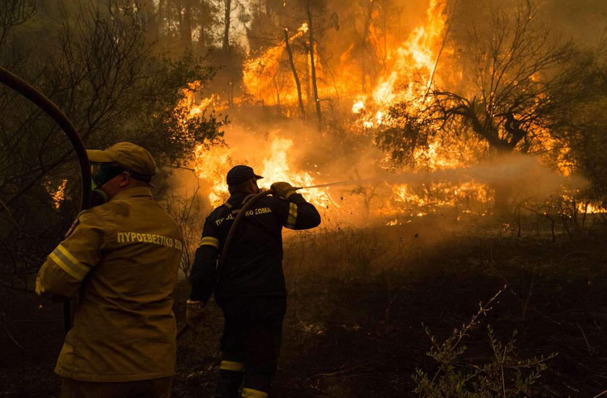 Der 8. August auf der griechischen Insel  Euböa: Feuerwehrleute versuchen, einen Brand in einem Wald im Norden der Insel  zu löschen.