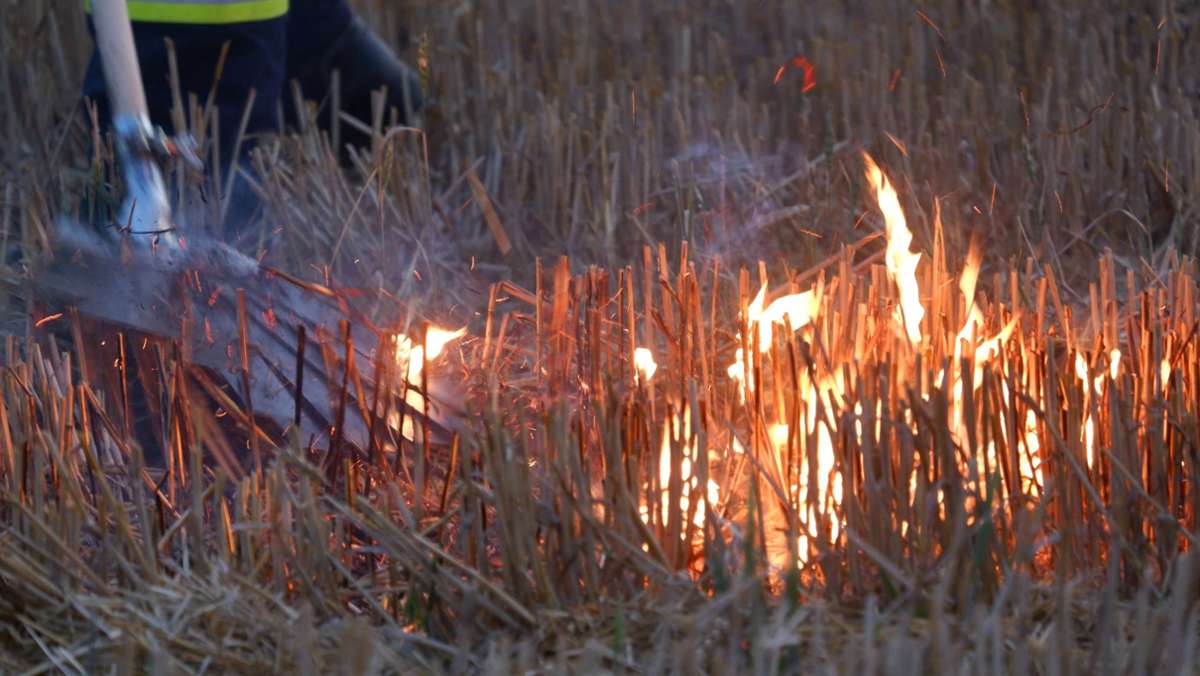 Waldbrände in Baden-Württemberg: Feuerpatschen sollen Waldarbeiter schützen