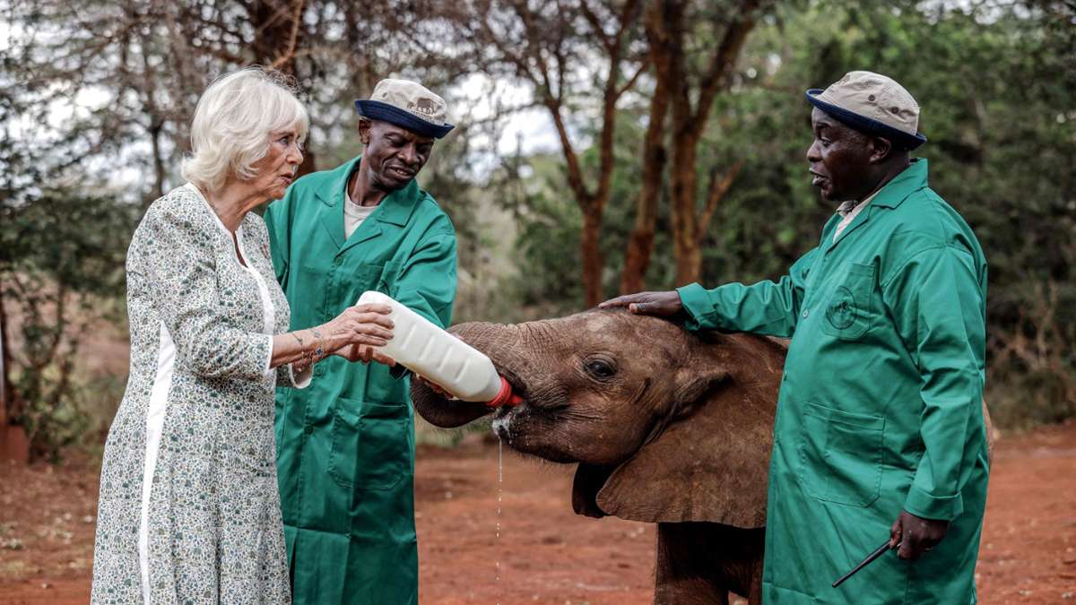 Royals in Kenia: Königin Camilla füttert kleinen Elefanten