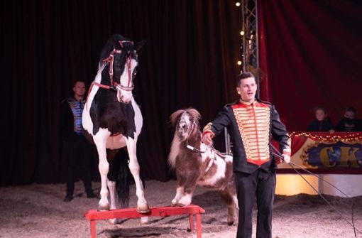Tierdressuren gehören beim Zirkus Edmund Kaiser zum Programm. Foto: Zirkus Edmund Kaiser