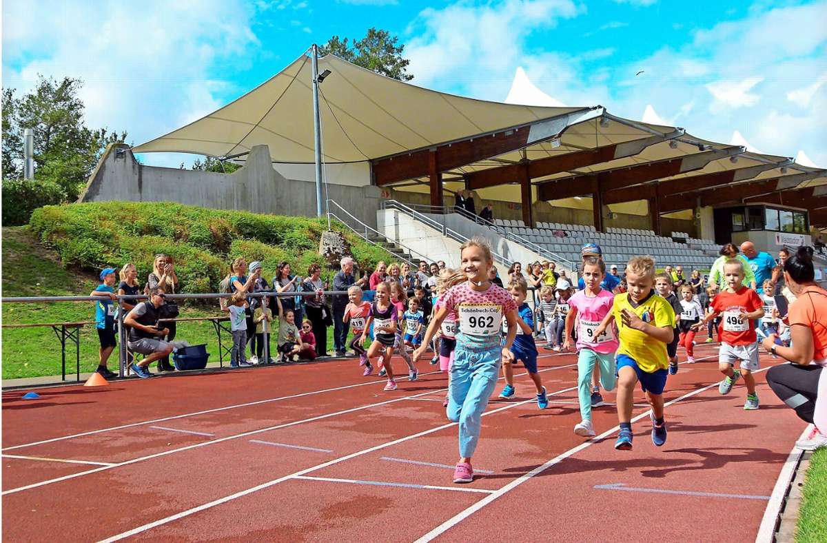 Leichtathletik: Beim Dagersheimer Waldlauf ist das Starterfeld fast so groß wie früher