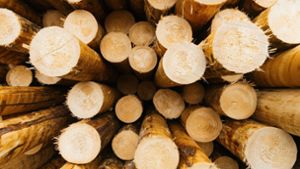 Ist die Holzbau-Förderung des Landes zu einseitig?