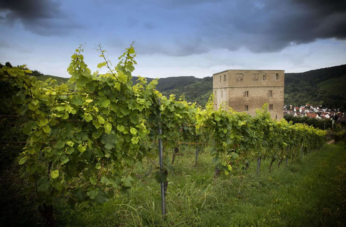 Der Blick von der Yburg aus über die Weinlage Brotwasser