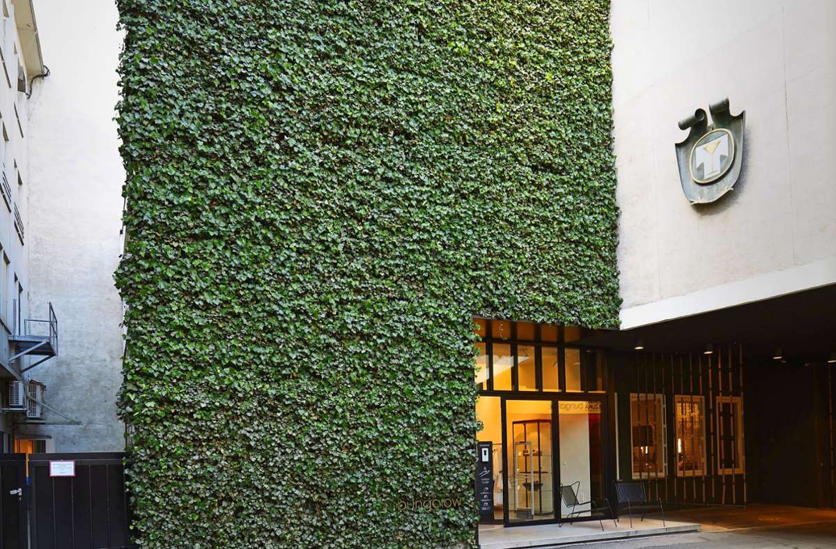 Ausstellung „Einfach Grün“: Wie  Stuttgarts Fassaden und Dächer grüner werden können