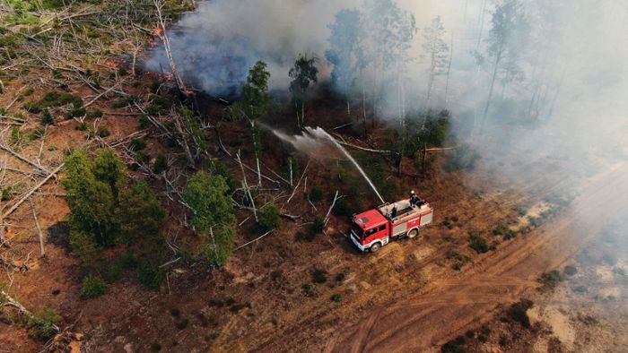 Brandenburg: Waldbrand bei Jüterbog: Lage entspannt sich
