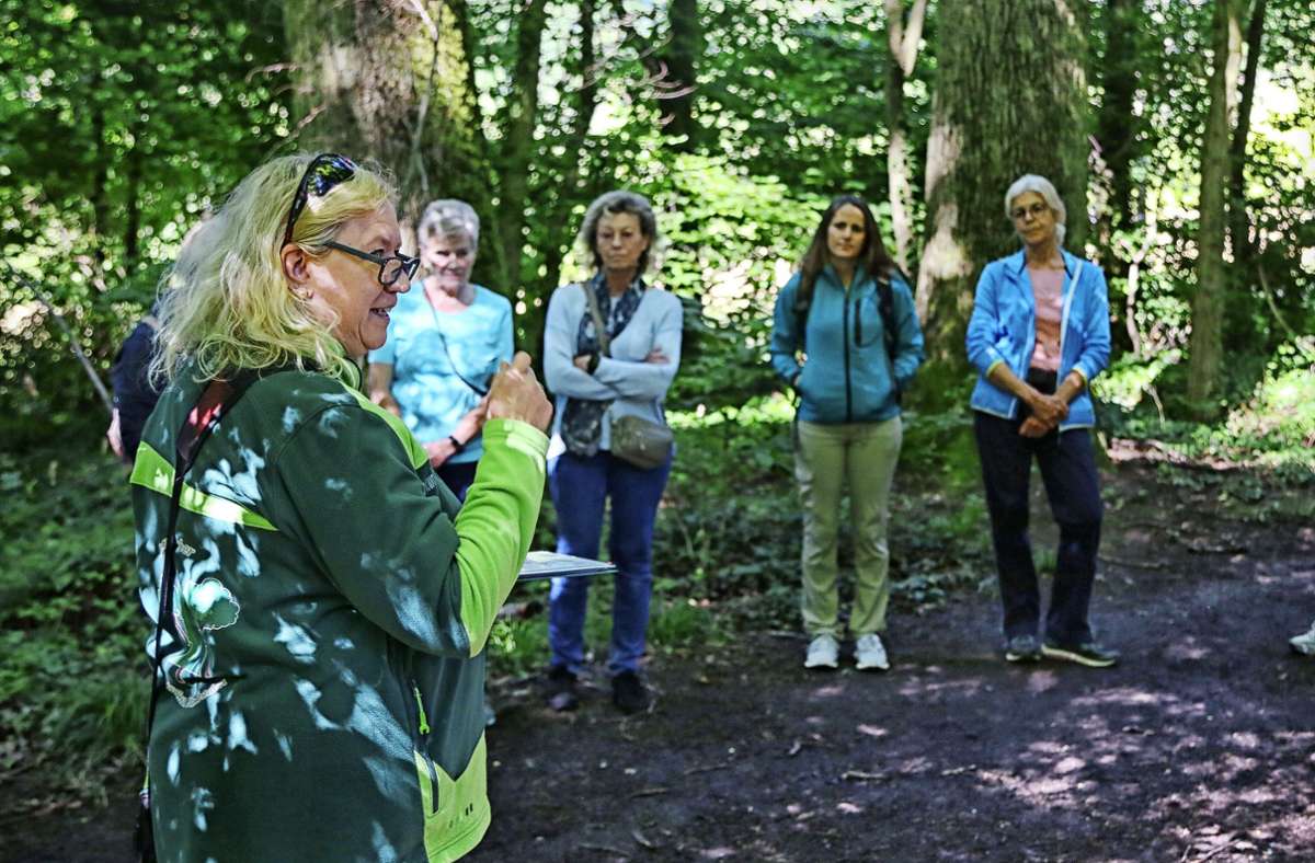 Jeannette Huber (links) erklärt, wie gesund das Waldbaden ist.