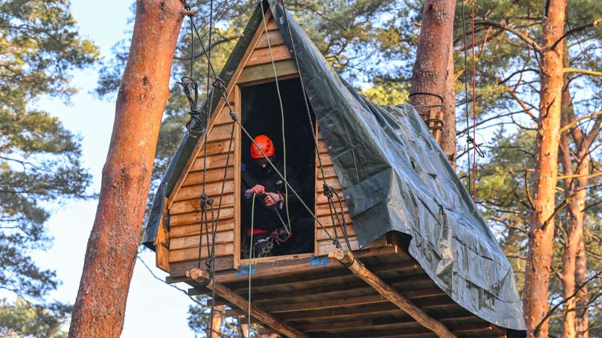 Eine Aktivist der Initiative Tesla stoppen sitzt in einem Baumhaus in einem Kiefernwald nahe der Tesla-Gigafactory in Grünheide.