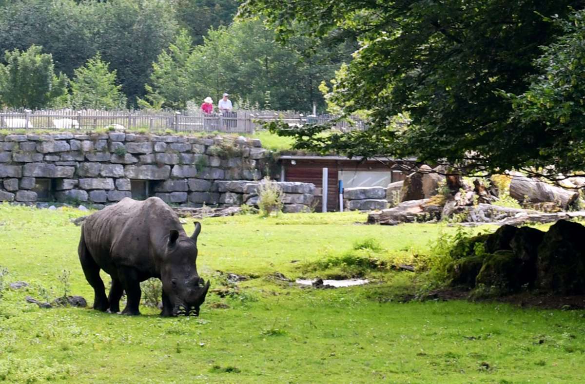 Pflegerin aus Bayern im Zoo Salzburg von Nashorn getötet