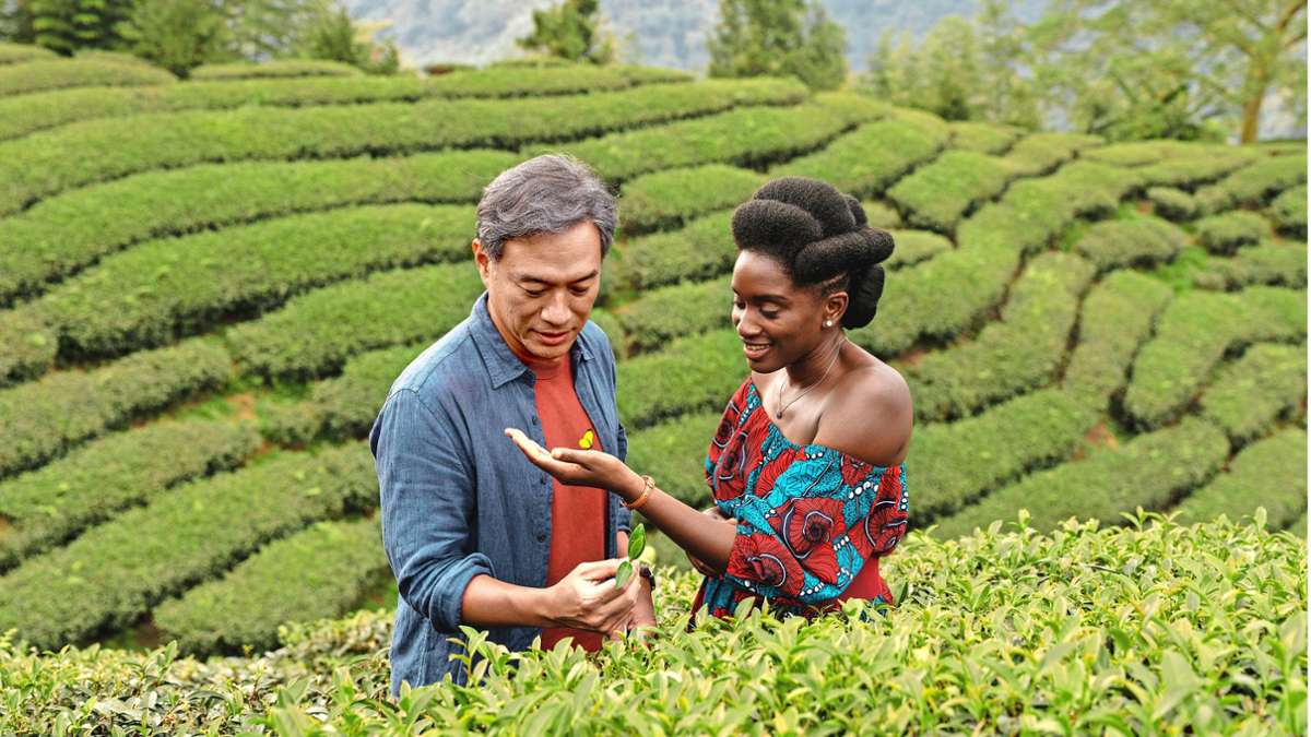 Liebe in der grünen Idylle zwischen Hügeln,  Teeterrassen und kulturellem Austausch: Han Chang und  Nina Mélo im Film „Black Tea“.