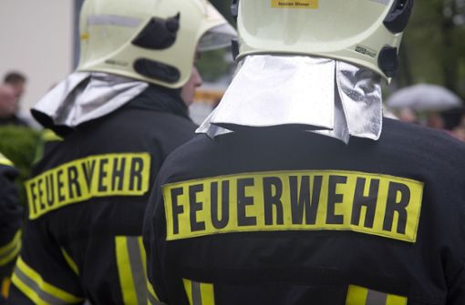 14 Einsatzkräfte der Freiwilligen Feuerwehr konnten das Feuer löschen (Symbolbild). Foto: Eibner/Fleig