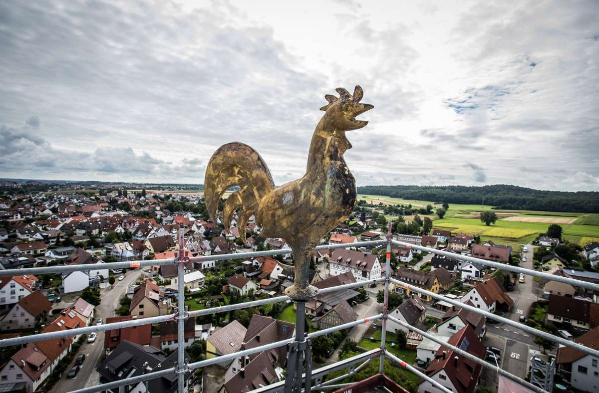 Der Lack vom Hahn ist ab – aber nicht mehr lange. Foto: Eibner-Pressefoto/Jürgen Binias