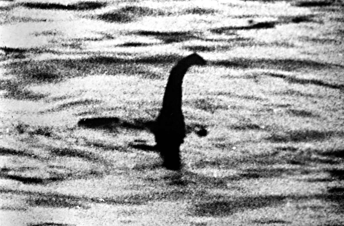 Schottischer Mythos: „Nessie“-Fans planen am Loch Ness größte Suche seit Jahrzehnten