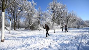 5000 Haushalte im Elsass nach Schneefällen ohne Strom