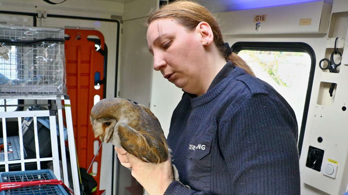 Eine Mitarbeiterin der Tierrettung konnte die Eule schließlich retten. Das Tier wurde für weitere Untersuchungen ins Tierheim Ludwigsburg gebracht.