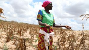 Schlimmste Dürre seit 40 Jahren bedroht Millionen Afrikaner