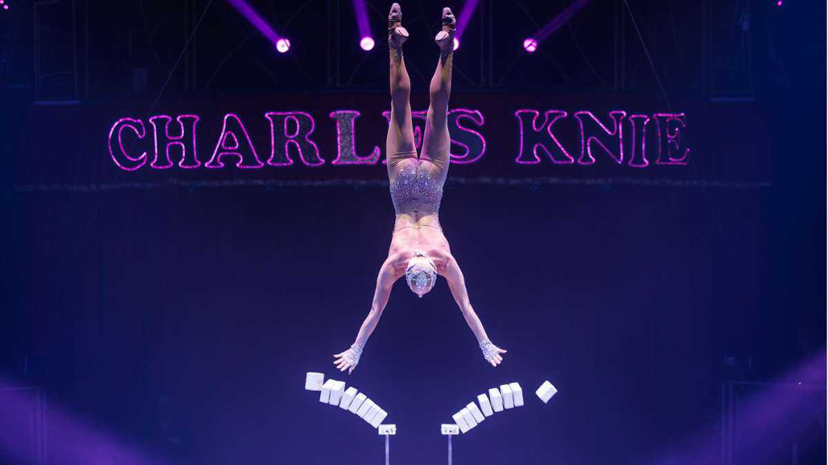 Zirkus Charles Knie in Böblingen: Akrobatische Wasserspiele