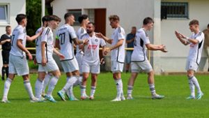 Fußball-Landesliga, Staffel III: VfL Sindelfingen wittert nach 3:2-Sieg seine Aufstiegschance