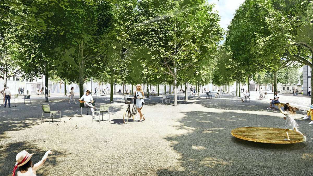 Innenstadt Ludwigsburg: Bäume sollen Ludwigsburger  Stadtklima verbessern