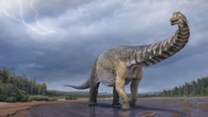 Ein Riesen-Dino namens Cooper
