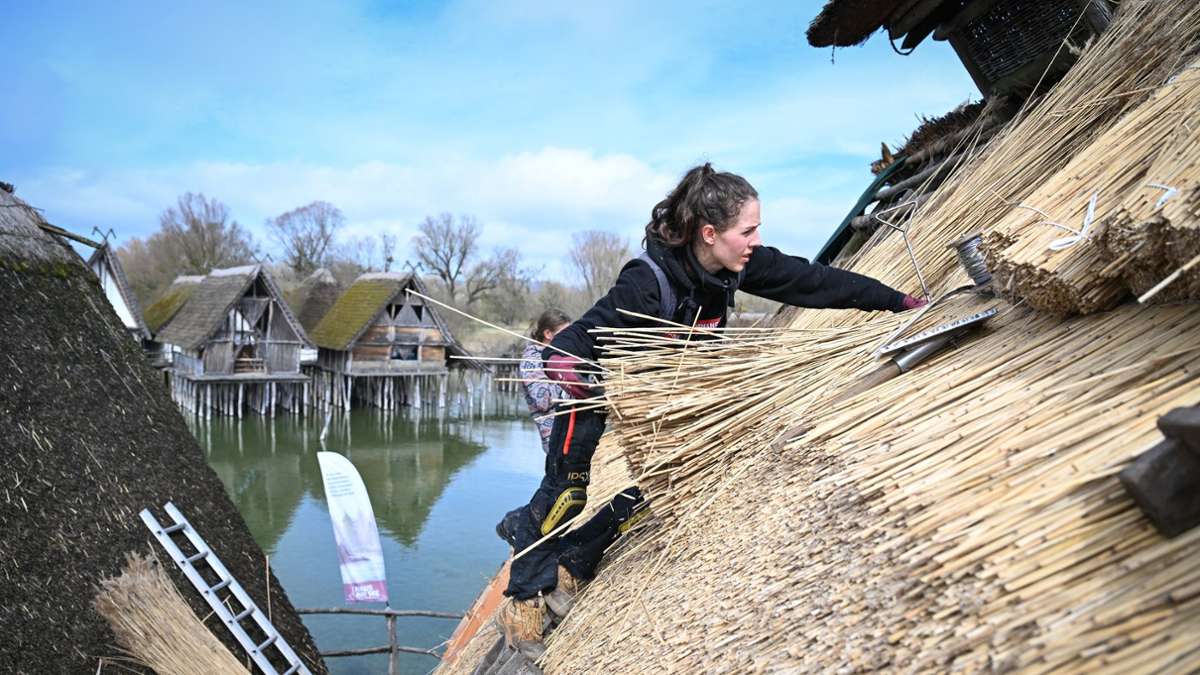 Bald zu begutachten: Dachdeckerin Moira Memmhardt verarbeitet bündelweise Reet auf einem der Häuser des Pfahlbaumuseums in Unteruhldingen am Bodensee.
