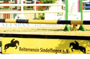 Reiten: RV Sindelfingen richtet großes Turnier vom 26. bis zum 29. Mai aus